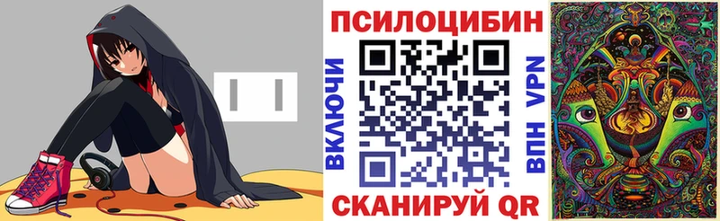 гидра ссылка  Славгород  Галлюциногенные грибы MAGIC MUSHROOMS 